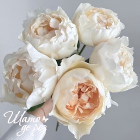 Ivory Yves Piaget (Айвори Ив Пьяже)-foto2