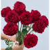 Mayra's Red (Майра Ред)