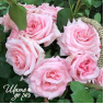 Pink O'Hara (Пинк О'Хара)