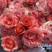 Corail Gelee (Кораль Желе)