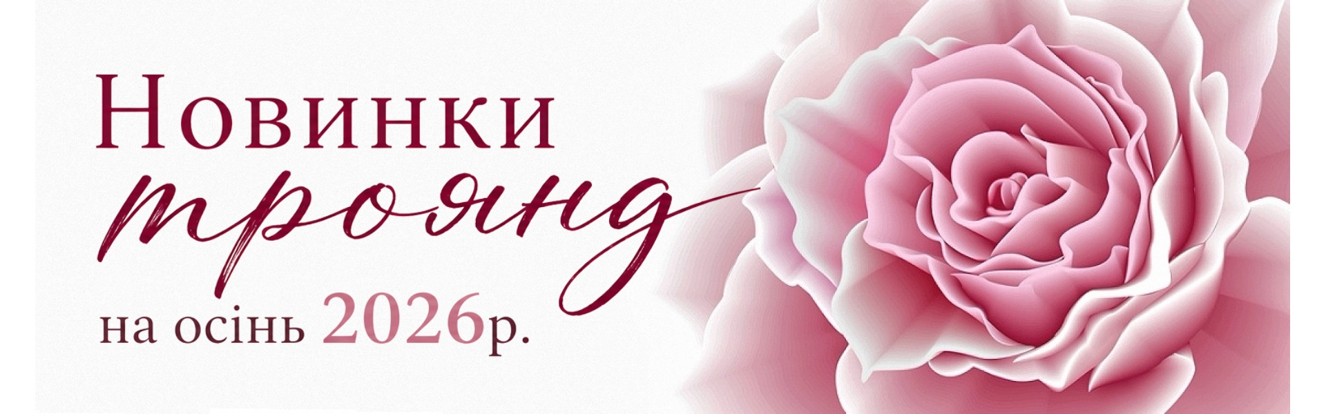 банер в центре2