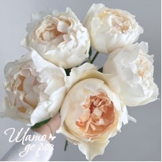 Ivory Yves Piaget (Айвори Ив Пьяже)-foto2