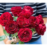 Mayra's Red (Майра Ред)